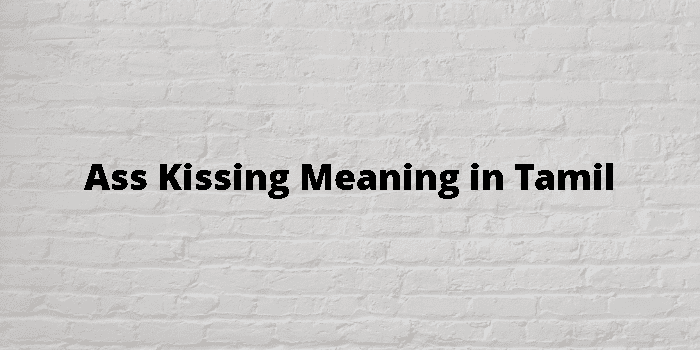 ass kissing