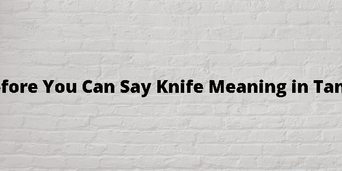 before you can%20say%20knife