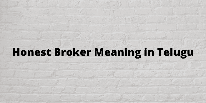 honest broker