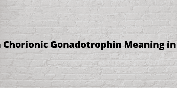 human chorionic gonadotrophin