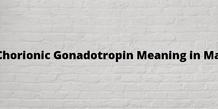 human chorionic gonadotropin