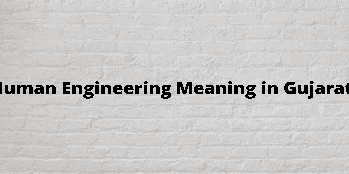 human engineering