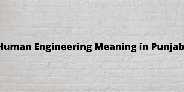 human engineering