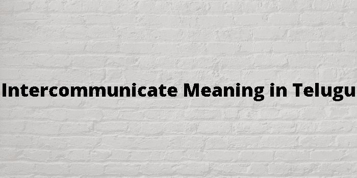 intercommunicate