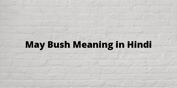 may bush