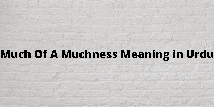 much of a muchness
