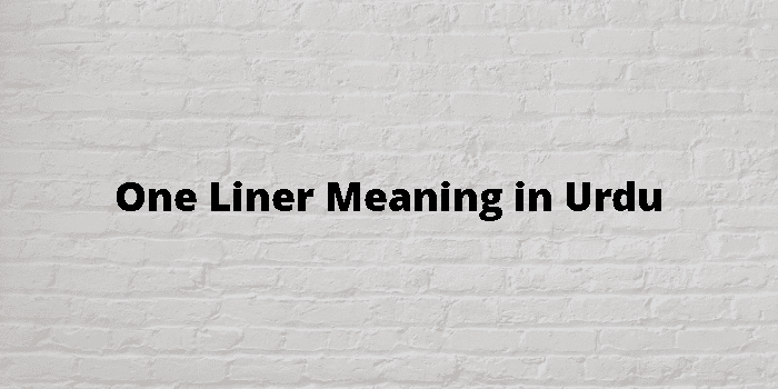 one liner