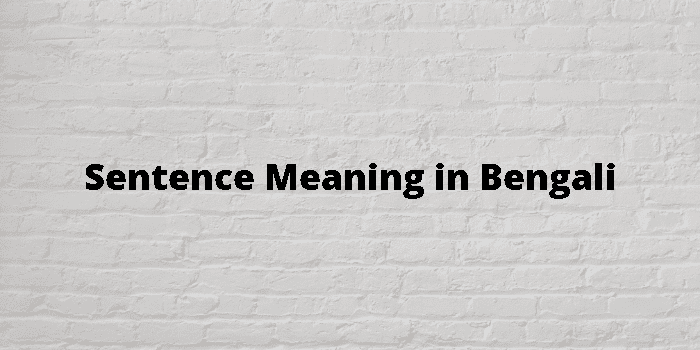 sentence