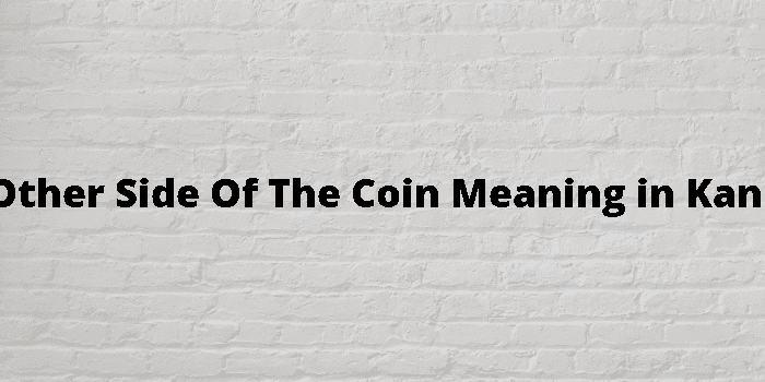 the other side%20of%20the%20coin