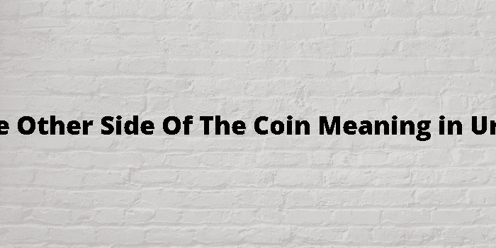 the other side of%20the%20coin