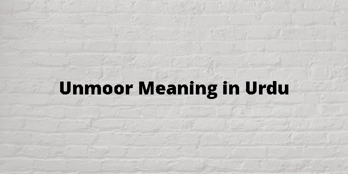 unmoor